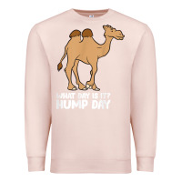 Pale Pink what day is it hump day funny camels hump day t shirt Premium Sweatshirt - linhVisuals