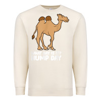 Sandshell what day is it hump day funny camels hump day t shirt Premium Sweatshirt - linhVisuals