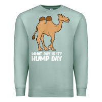 Seafoam what day is it hump day funny camels hump day t shirt Premium Sweatshirt - linhVisuals