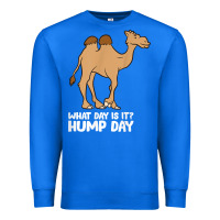 True Royal what day is it hump day funny camels hump day t shirt Premium Sweatshirt - linhVisuals