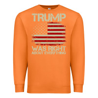 Carrot vintage usa american flag trump was right about everything pullover ho Premium Sweatshirt - linhVisuals
