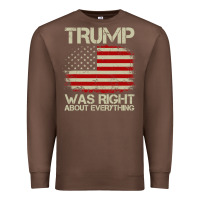 Vintage Usa American Flag Trump Was Right About Everything Pullover Ho Premium Sweatshirt | Teevron