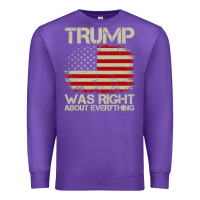 Purple vintage usa american flag trump was right about everything pullover ho Premium Sweatshirt - linhVisuals