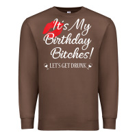 Chestnut womens it's my birthday bitches! funny drunk party birthday girls v ne Premium Sweatshirt - linhVisuals
