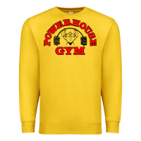 Powerhouse Gym Vintage Sport Premium Sweatshirt | Teevron