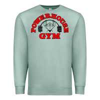 Seafoam POWERHOUSE GYM VINTAGE SPORT Premium Sweatshirt - linhVisuals
