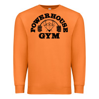 Carrot POWERHOUSE GYM Premium Sweatshirt - linhVisuals