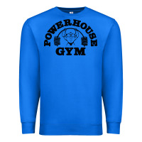 True Royal POWERHOUSE GYM Premium Sweatshirt - linhVisuals