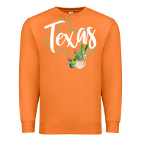 Carrot texas state map pride cactus vintage texas sweatshirt Premium Sweatshirt - linhVisuals