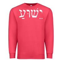 Cardinal yeshua jesus in hebrew pullover hoodie Premium Sweatshirt - linhVisuals