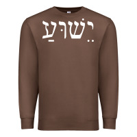 Chestnut yeshua jesus in hebrew pullover hoodie Premium Sweatshirt - linhVisuals
