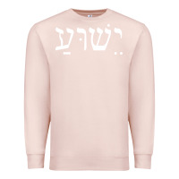 Pale Pink yeshua jesus in hebrew pullover hoodie Premium Sweatshirt - linhVisuals