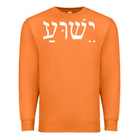 Carrot yeshua jesus in hebrew pullover hoodie Premium Sweatshirt - linhVisuals
