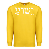 Lemon yeshua jesus in hebrew pullover hoodie Premium Sweatshirt - linhVisuals
