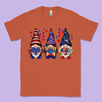 4th Of July Gnomies With Stars Classic Tee Designed By Howdyjamesfarm