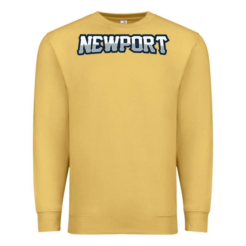 Newport School Premium Sweatshirt by linhVisuals | Teevron