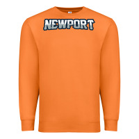 Carrot Newport School Premium Sweatshirt - linhVisuals