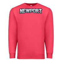 Cardinal Newport School Premium Sweatshirt - linhVisuals