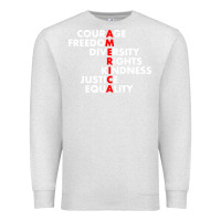 Oatmeal Heather anti trump resist Premium Sweatshirt - linhVisuals