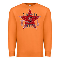 Carrot almighty vice lord nation vl avln t shirt Premium Sweatshirt - linhVisuals