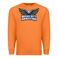 Carrot twin city christian school Premium Sweatshirt - linhVisuals