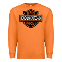 Carrot enjoy jesus christ heavenly devoted son parody religious tee t shirt Premium Sweatshirt - linhVisuals