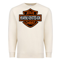 Sandshell enjoy jesus christ heavenly devoted son parody religious tee t shirt Premium Sweatshirt - linhVisuals