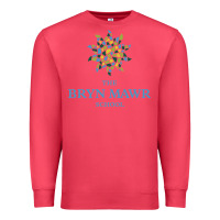 Cardinal bryn mawr school Premium Sweatshirt - linhVisuals