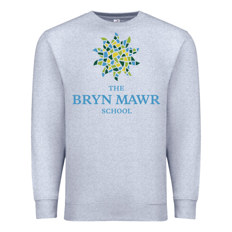 Bryn Mawr School Premium Sweatshirt by linhVisuals | Teevron