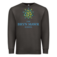 Smoke bryn mawr school Premium Sweatshirt - linhVisuals