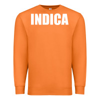 Carrot indica Premium Sweatshirt - linhVisuals