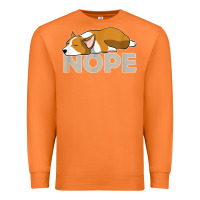 Carrot nope lazy corgi Premium Sweatshirt - linhVisuals