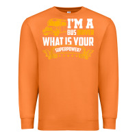 Carrot i'm a bus driver what is your superpower driving school bus t shirt Premium Sweatshirt - linhVisuals