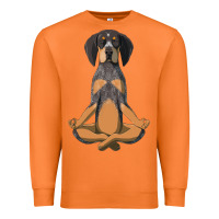 Carrot yoga fitness bluetick coonhound dog 363 bodybuilding Premium Sweatshirt - linhVisuals
