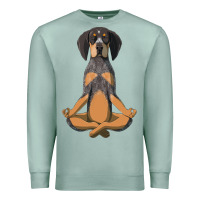 Seafoam yoga fitness bluetick coonhound dog 363 bodybuilding Premium Sweatshirt - linhVisuals