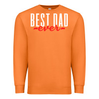 Carrot fathers day t  shirt father's day dad vintage t  shirt Premium Sweatshirt - linhVisuals