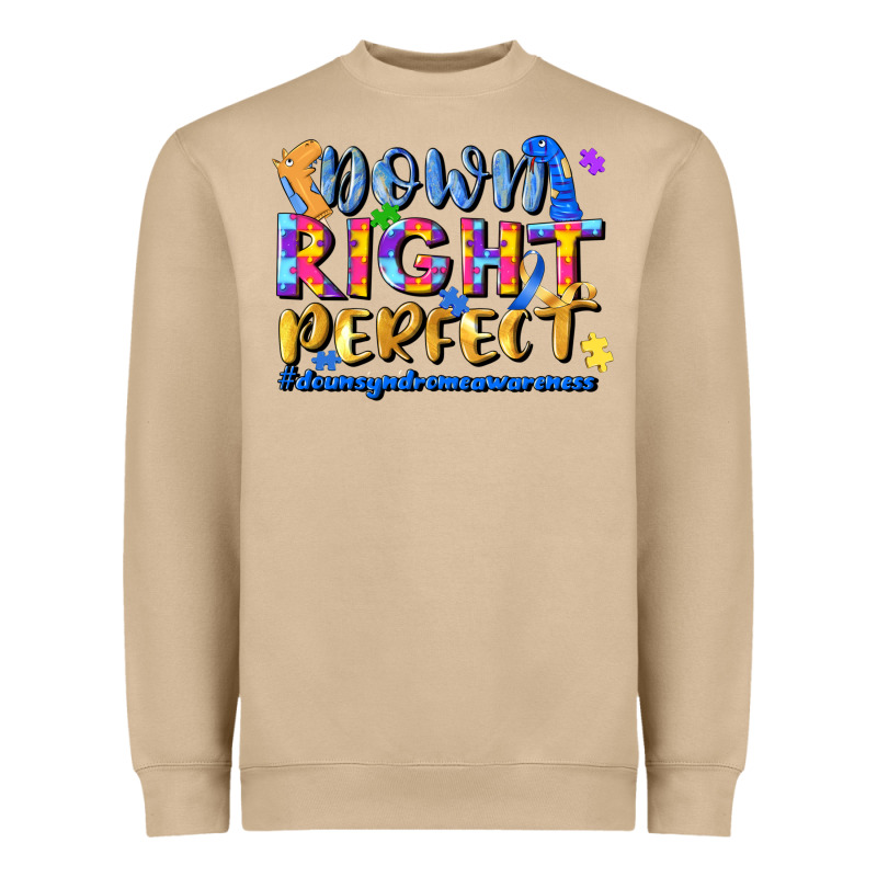 Down Right Perfect Heavyweight Sweatshirt by JahusDesignShop | Teevron