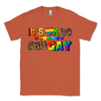 Copper It's okay to say Gay pride Classic Tee - CowGirlArtShop