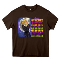 Chocolate Brown when witches go riding Heavy Core Tee - CowGirlArtShop