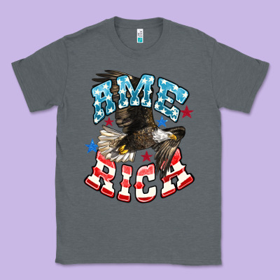 American Eagle Classic Tee Designed By Howdyjamesfarm