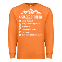Carrot hiking 6 stages of hiking funny hiking nature adventure Premium Sweatshirt - baoMotion
