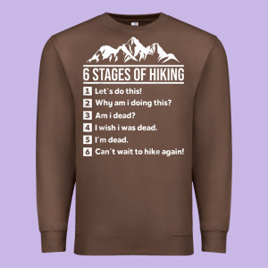 Hiking 6 Stages Of Hiking Funny Hiking Nature Adventure Premium Sweatshirt Designed By Baomotion