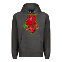 Charcoal Heather illinois watermelon Premium Hoodie - RacoonDesign