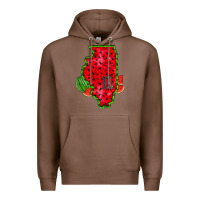 Chestnut illinois watermelon Premium Hoodie - RacoonDesign