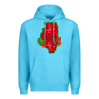 Ocean Blue illinois watermelon Premium Hoodie - RacoonDesign