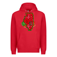 Red illinois watermelon Premium Hoodie - RacoonDesign
