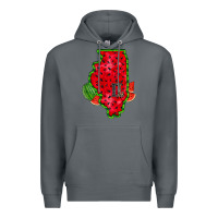 Rock illinois watermelon Premium Hoodie - RacoonDesign