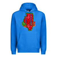 True Royal illinois watermelon Premium Hoodie - RacoonDesign