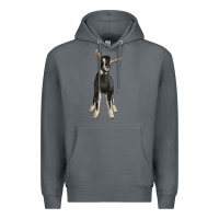 Rock Hand Drawn Baby Alpine Goat Premium Hoodie - LillyAllenDesigns