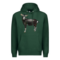 Sports Green Alpine Goat Premium Hoodie - LillyAllenDesigns